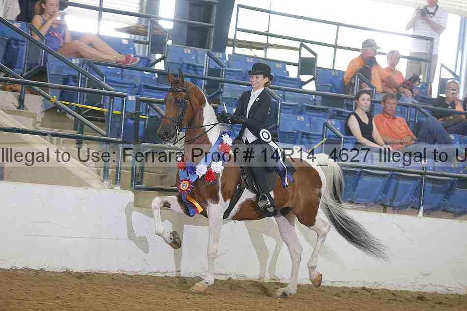 Proof Number 14r14_4627