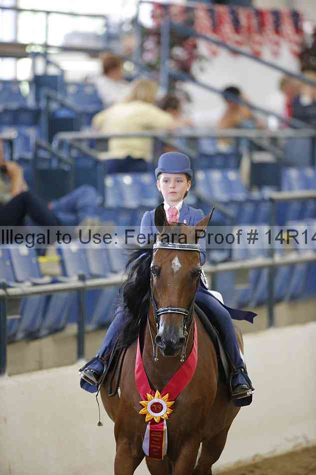 Proof Number 14r14_4629