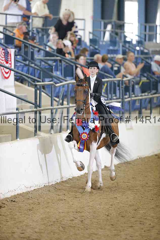 Proof Number 14r14_4631