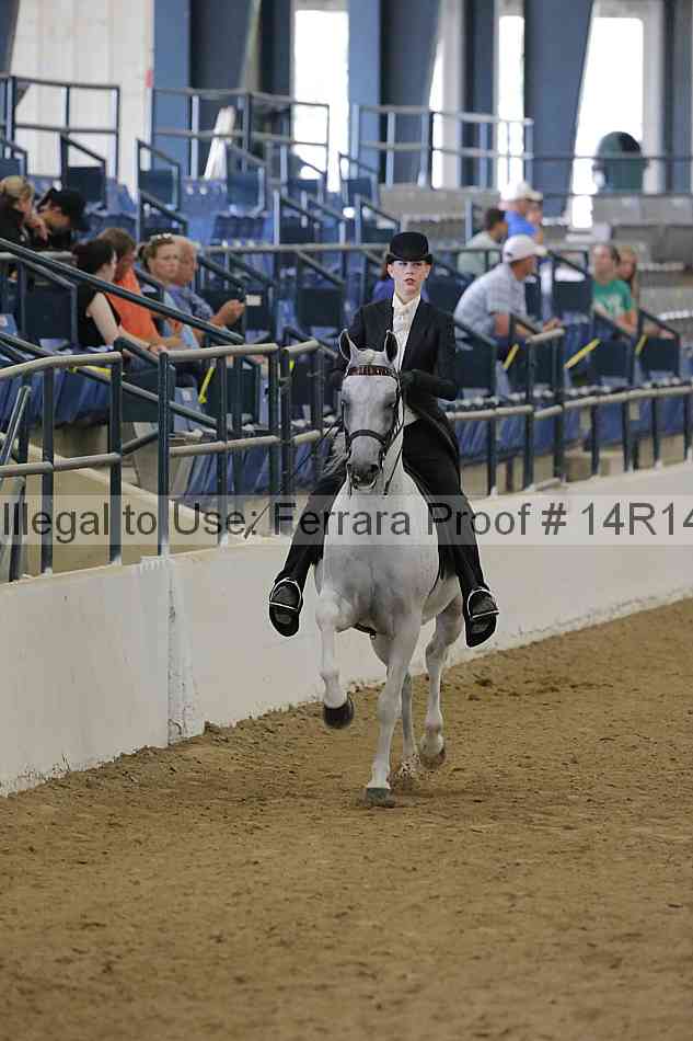 Proof Number 14r14_4647