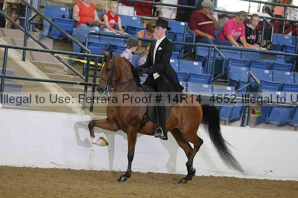 Proof Number 14r14_4652