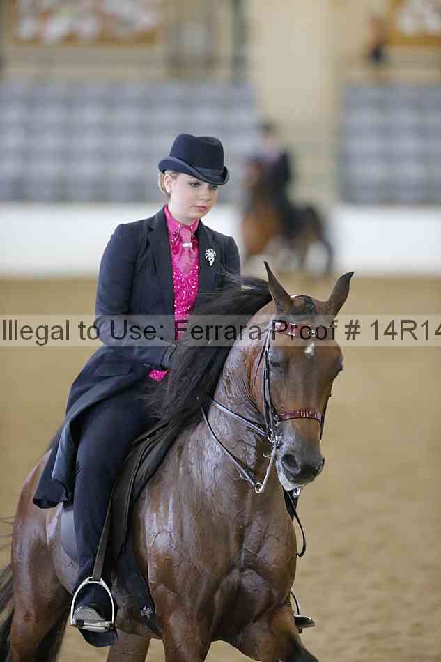 Proof Number 14r14_4657