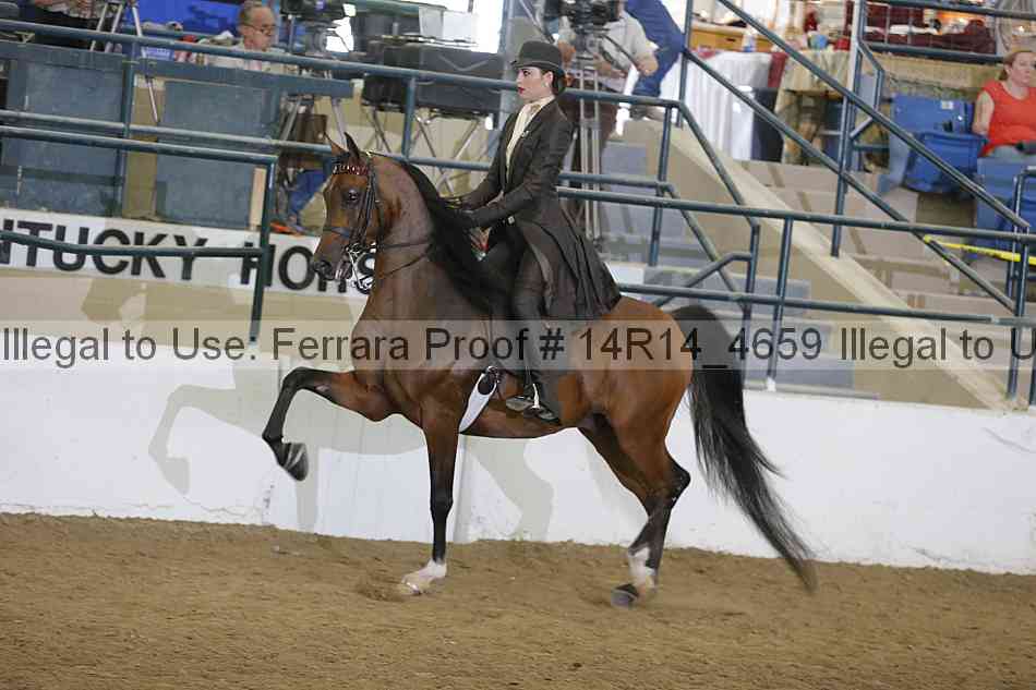 Proof Number 14r14_4659