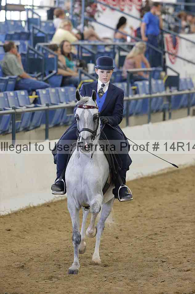 Proof Number 14r14_4662