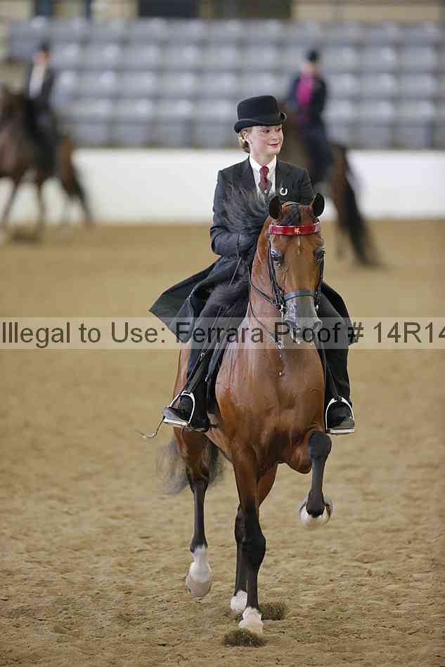 Proof Number 14r14_4665