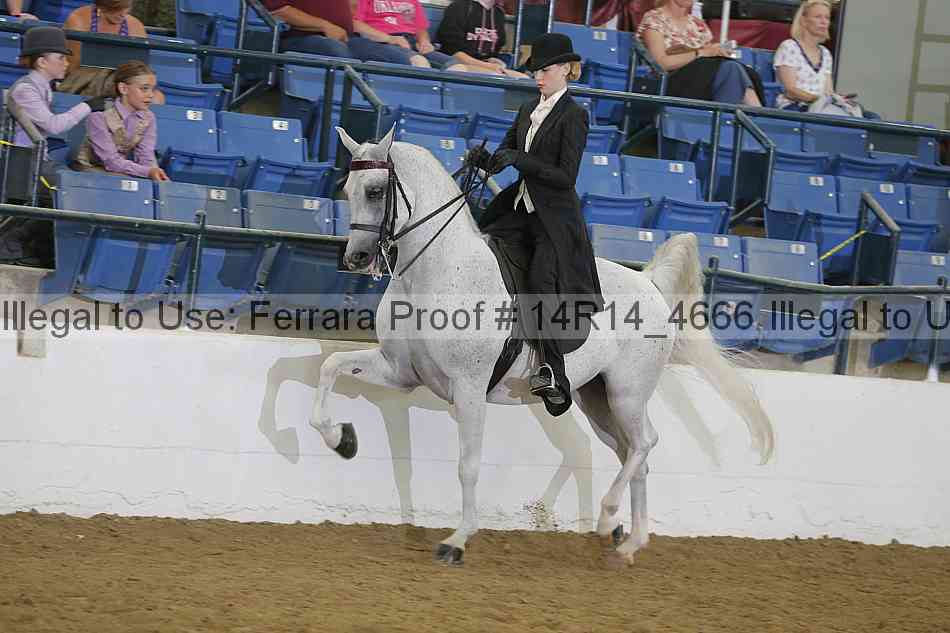 Proof Number 14r14_4666