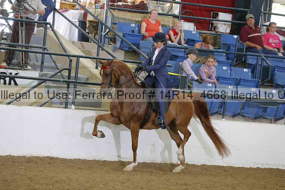 Proof Number 14r14_4668