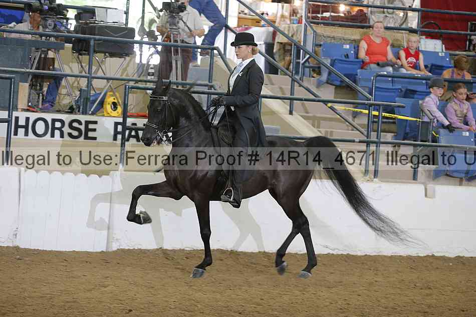 Proof Number 14r14_4671