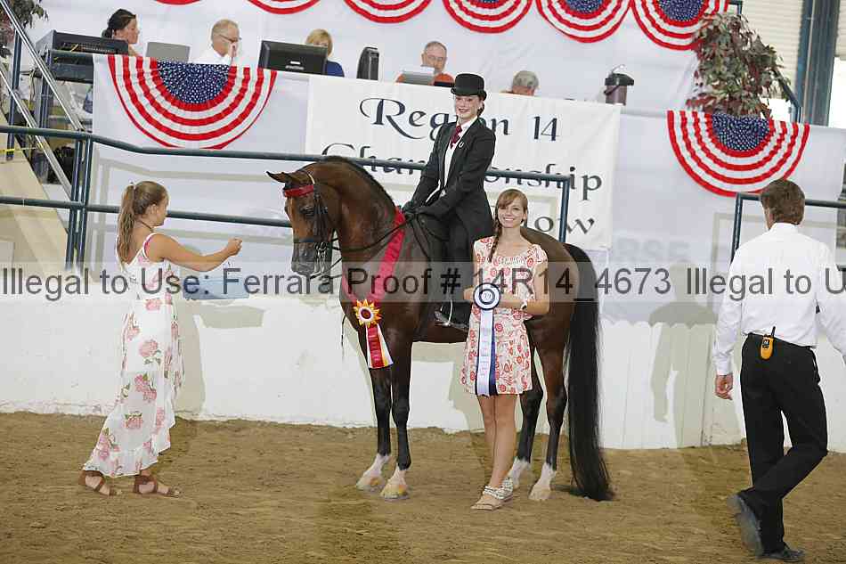 Proof Number 14r14_4673
