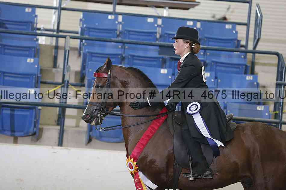 Proof Number 14r14_4675