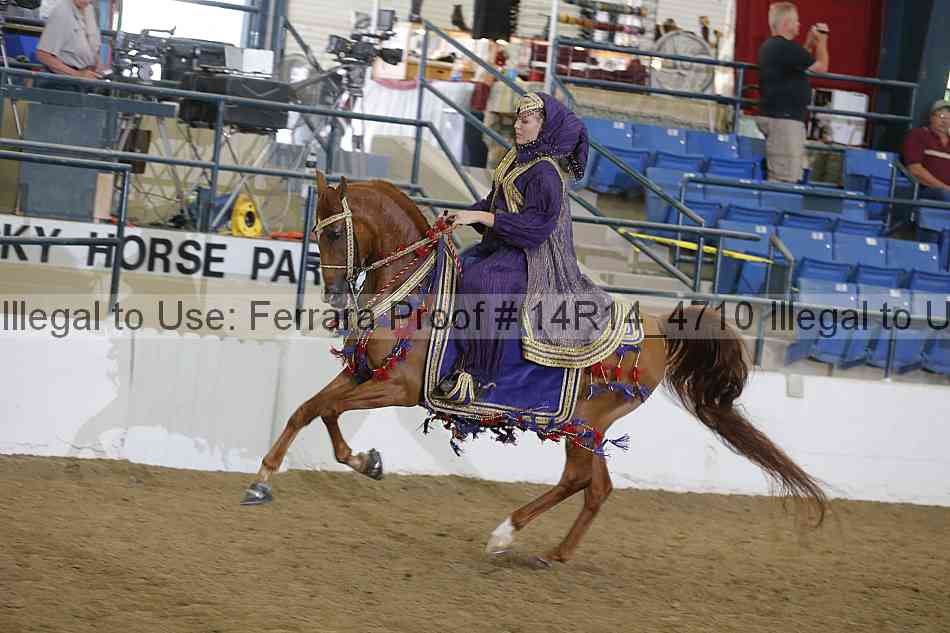 Proof Number 14r14_4710
