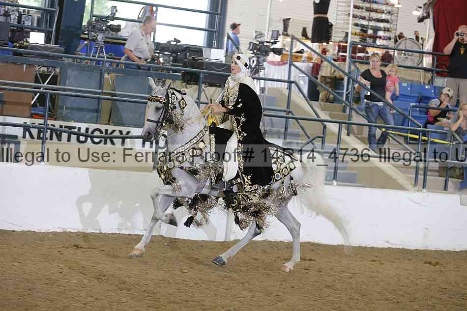 Proof Number 14r14_4736