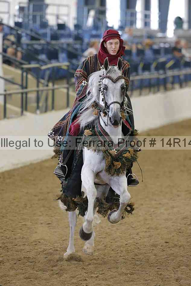 Proof Number 14r14_4743