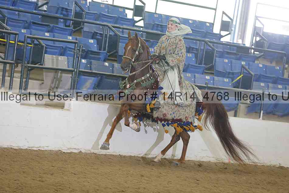 Proof Number 14r14_4768