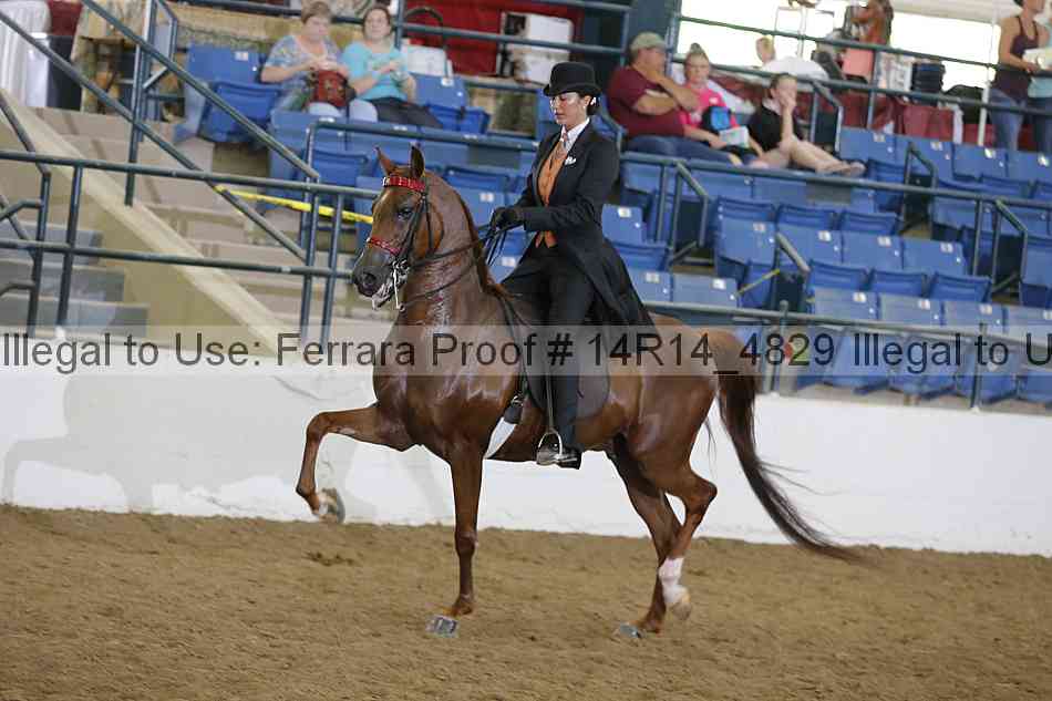 Proof Number 14r14_4829