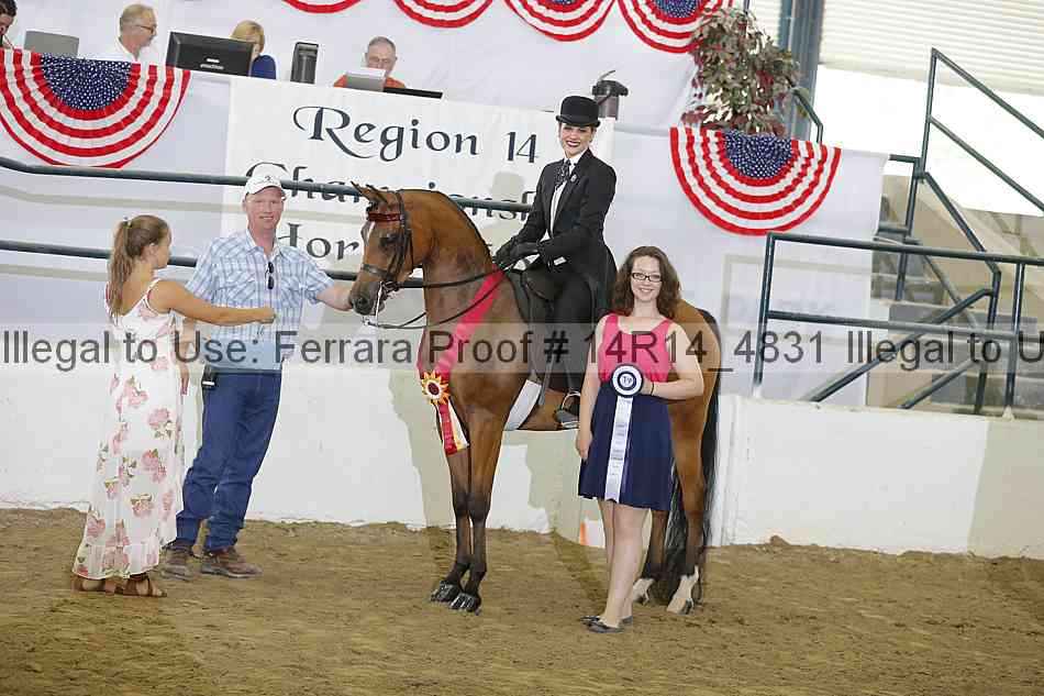 Proof Number 14r14_4831
