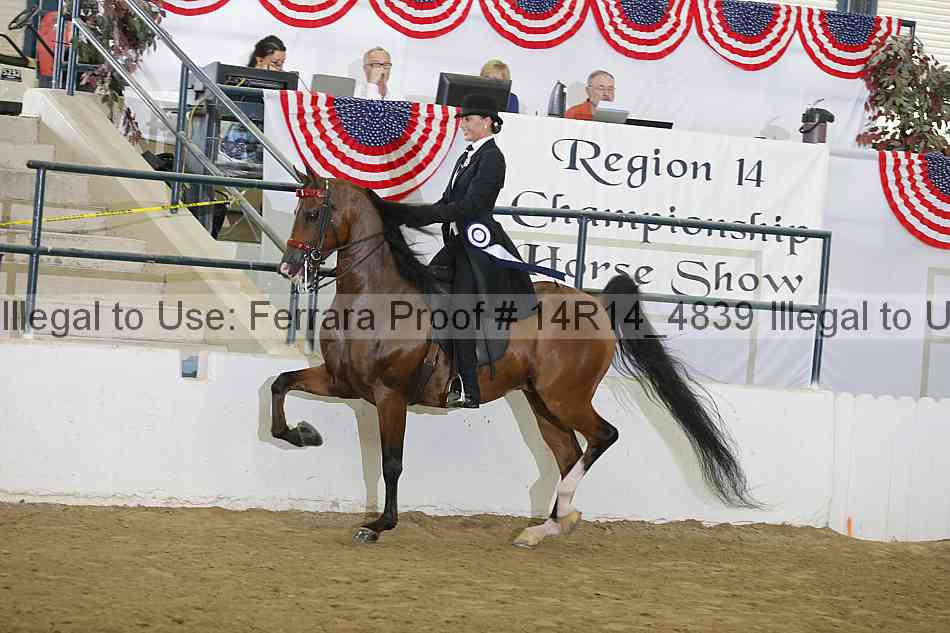 Proof Number 14r14_4839
