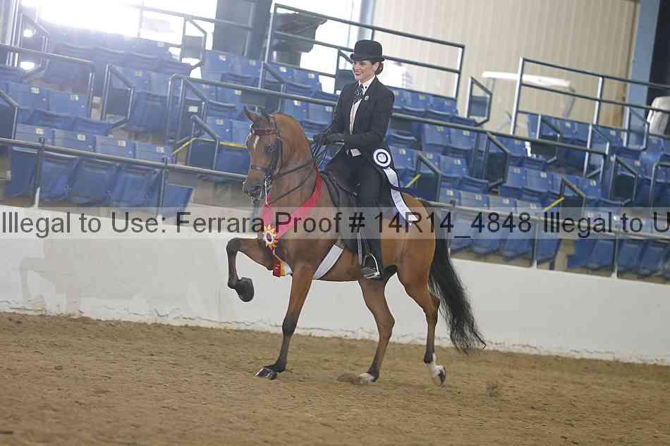 Proof Number 14r14_4848