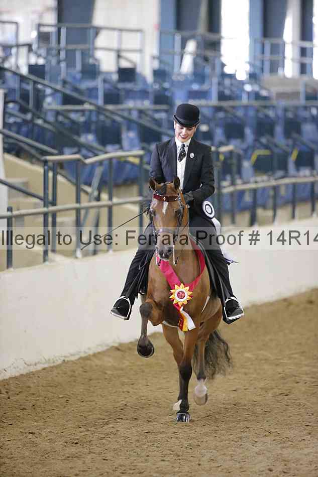 Proof Number 14r14_4853