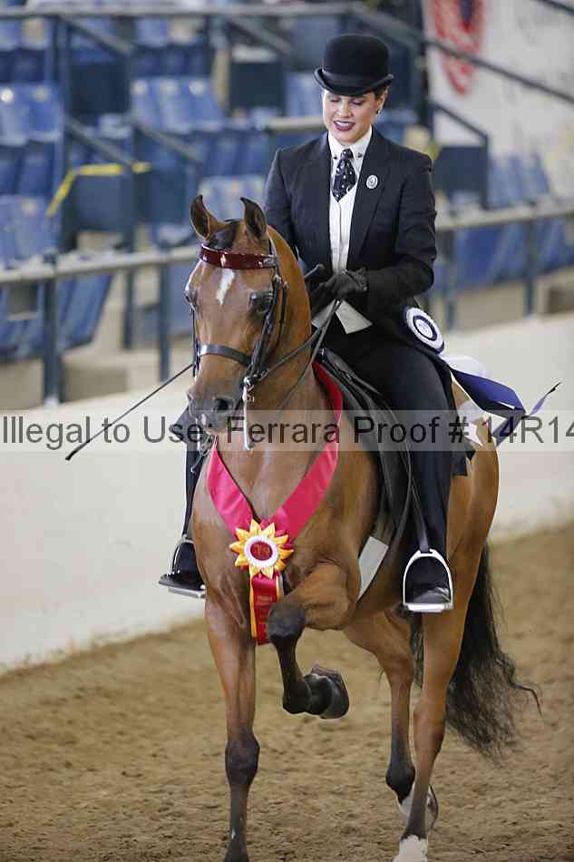 Proof Number 14r14_4854
