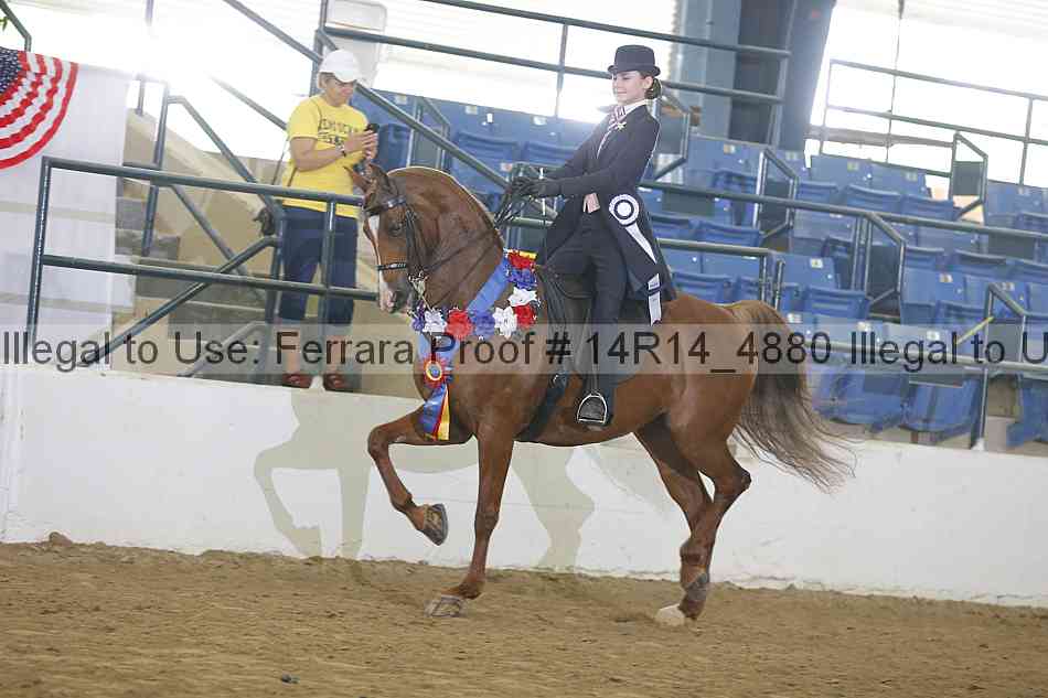 Proof Number 14r14_4880
