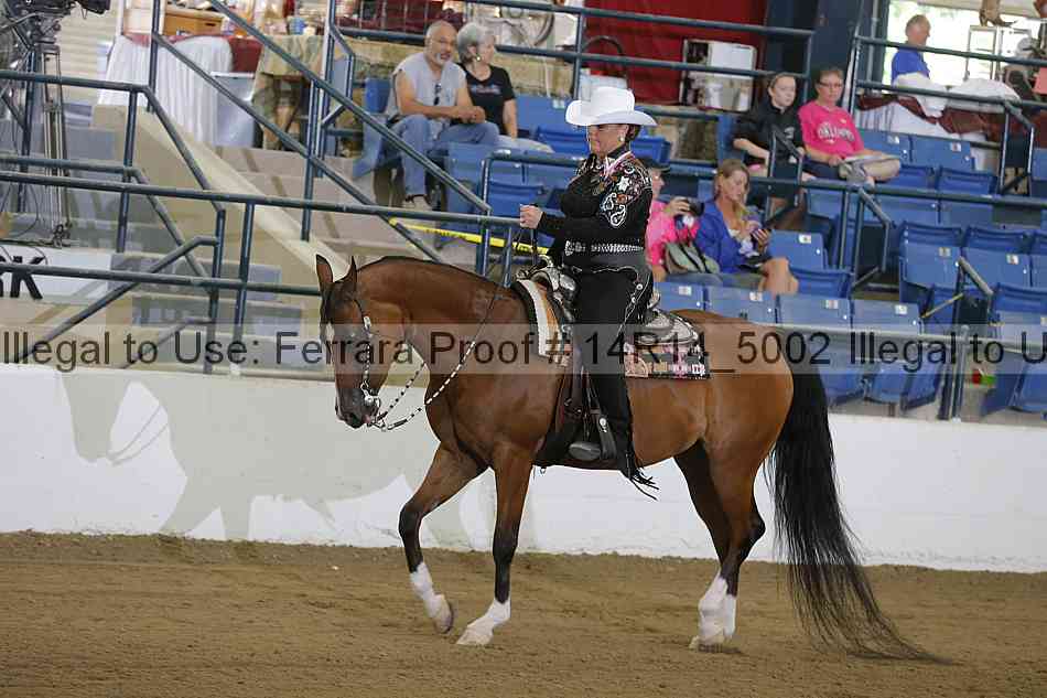 Proof Number 14r14_5002