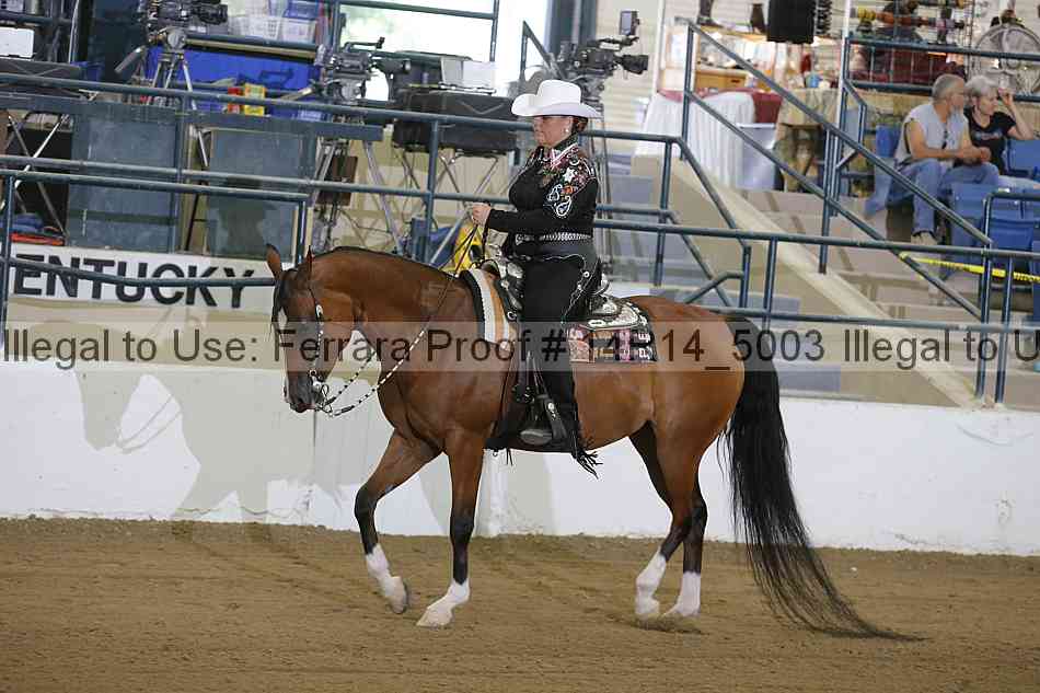 Proof Number 14r14_5003