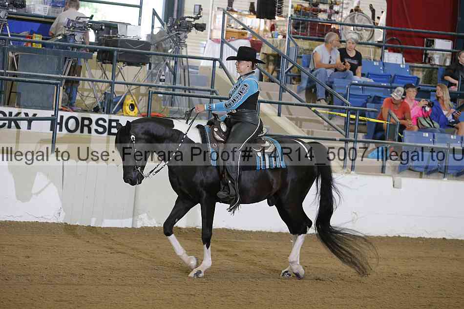 Proof Number 14r14_5007