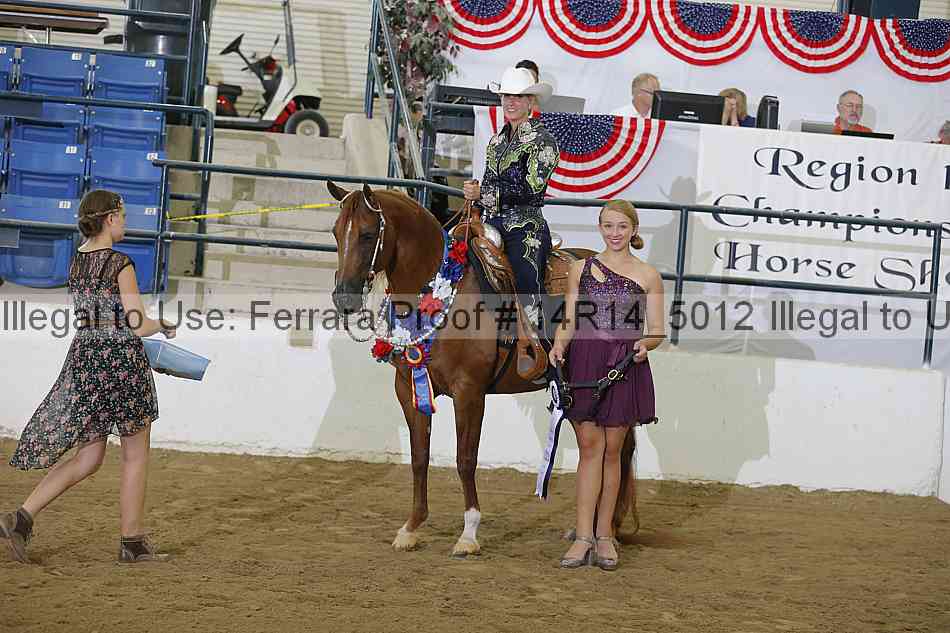 Proof Number 14r14_5012