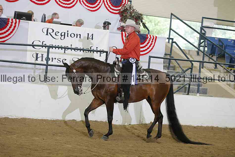 Proof Number 14r14_5021