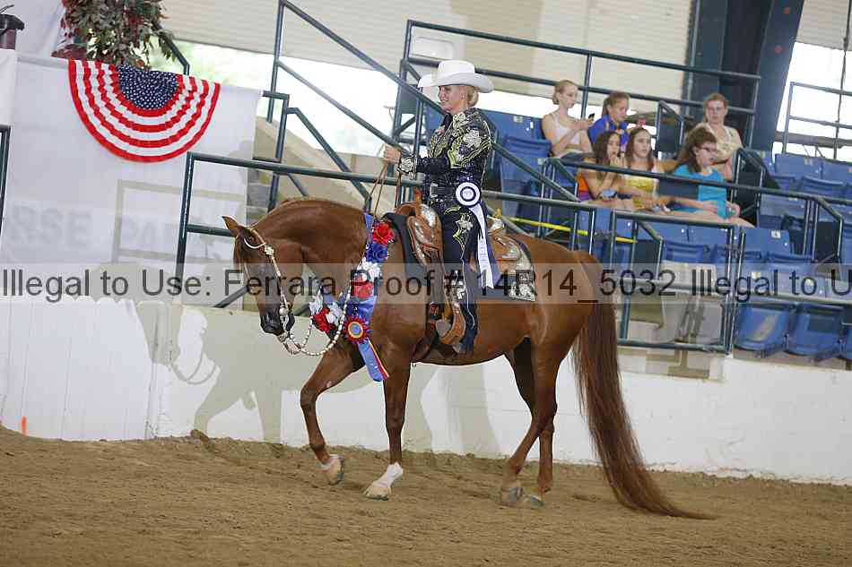 Proof Number 14r14_5032