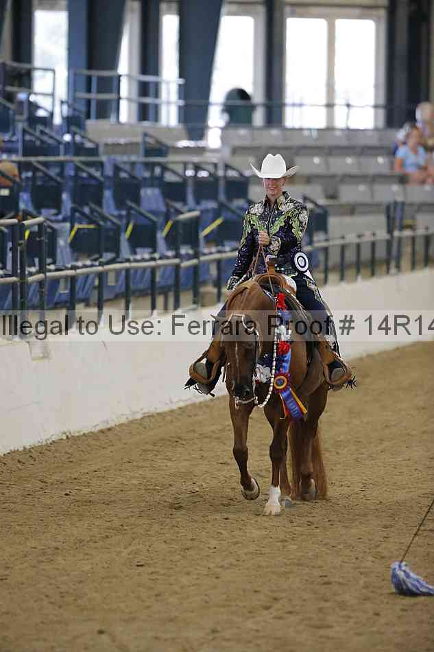 Proof Number 14r14_5034