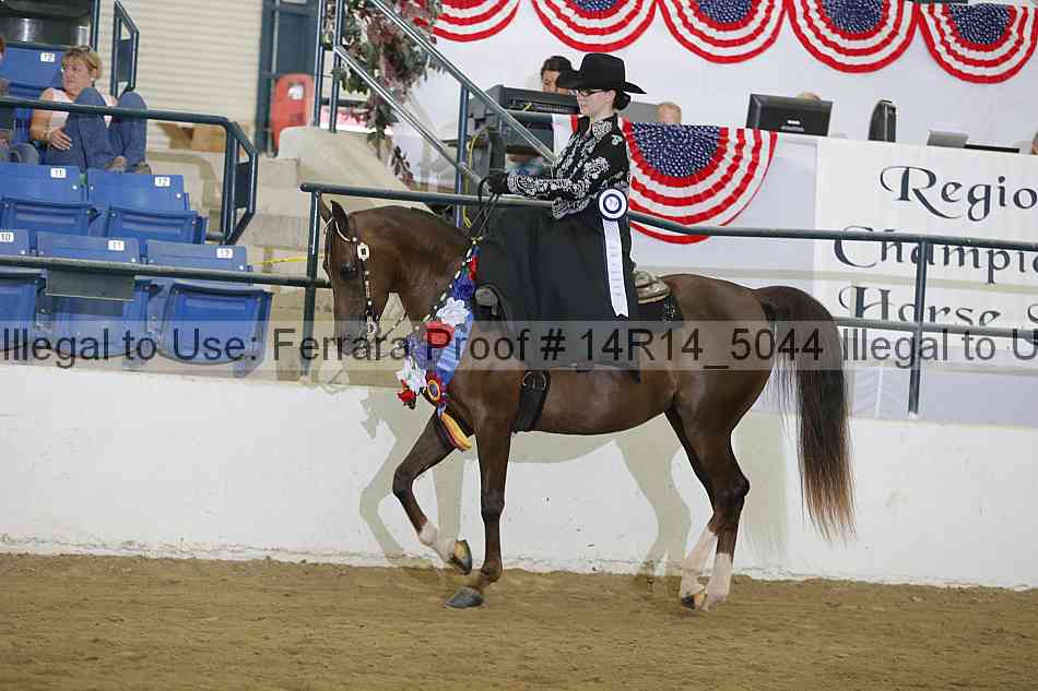 Proof Number 14r14_5044
