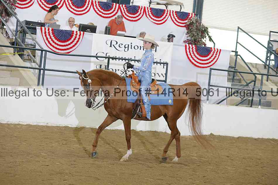 Proof Number 14r14_5061