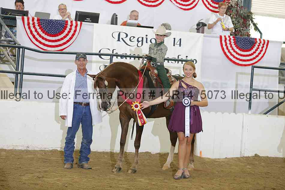 Proof Number 14r14_5073