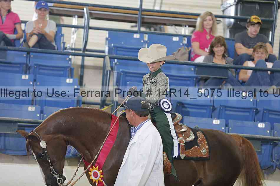 Proof Number 14r14_5075