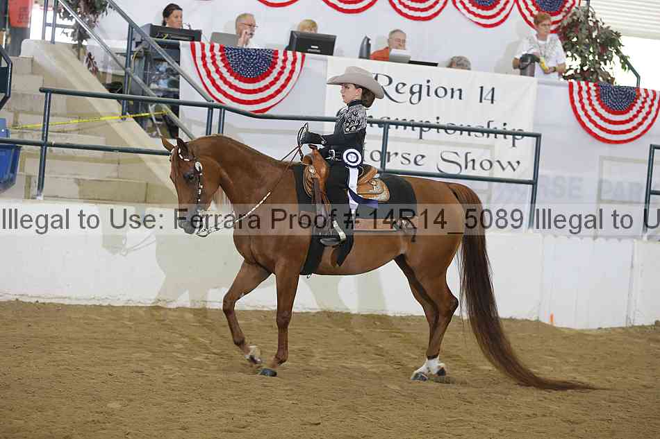 Proof Number 14r14_5089