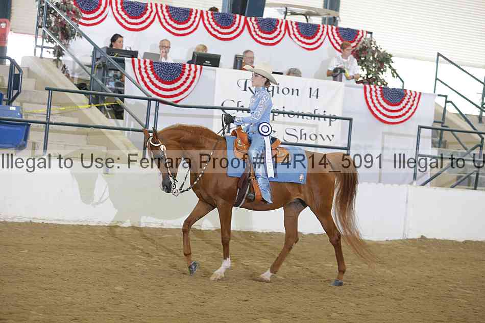 Proof Number 14r14_5091