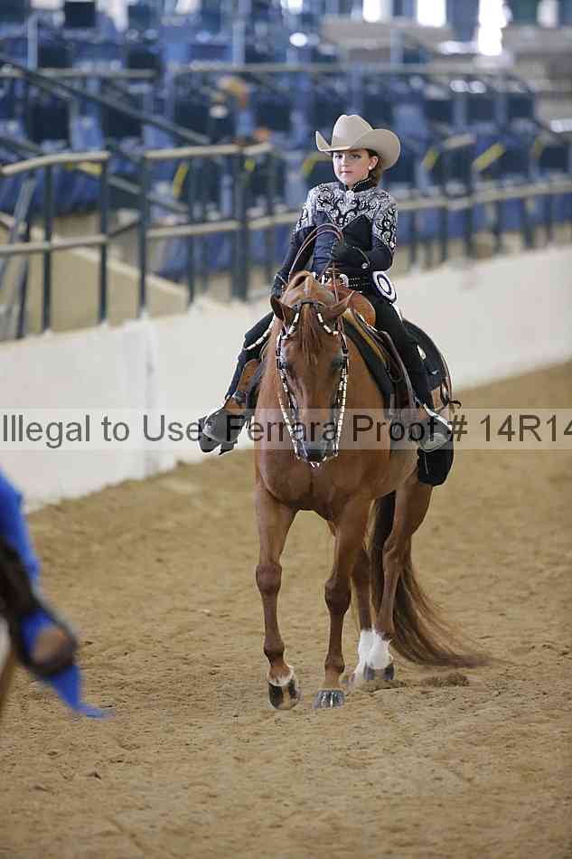 Proof Number 14r14_5095