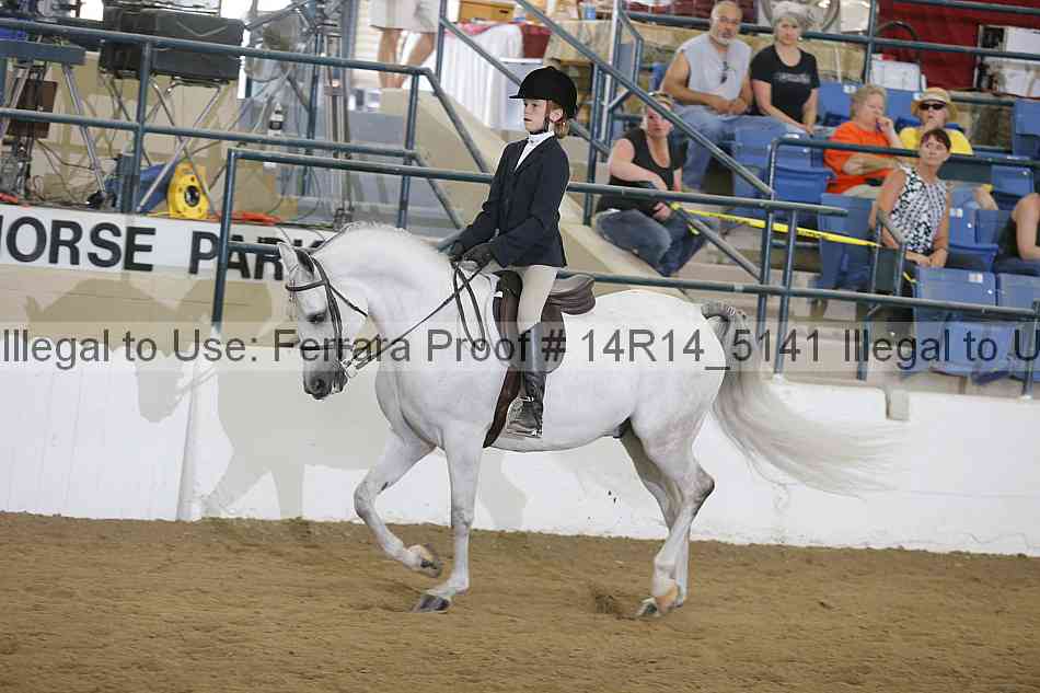 Proof Number 14r14_5141