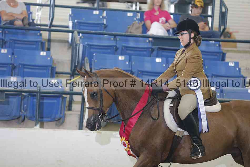 Proof Number 14r14_5146