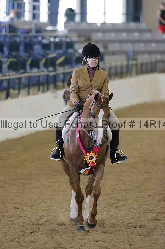 Proof Number 14r14_5147