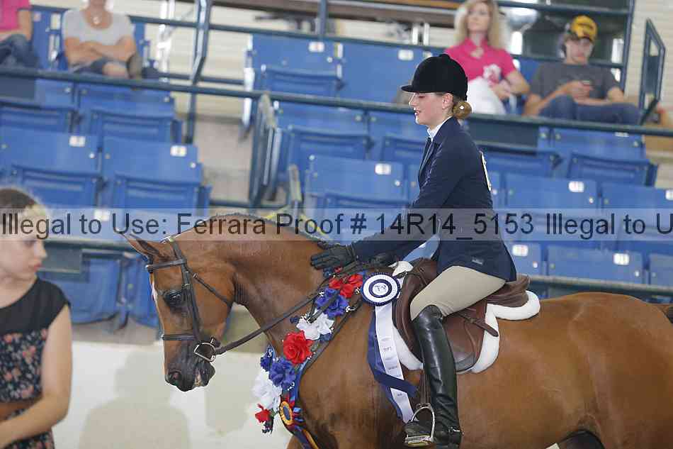 Proof Number 14r14_5153