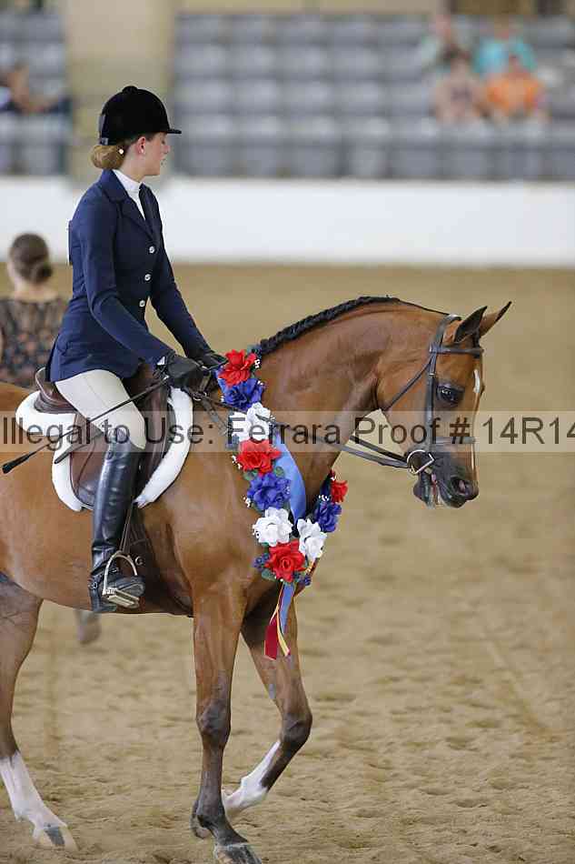 Proof Number 14r14_5156