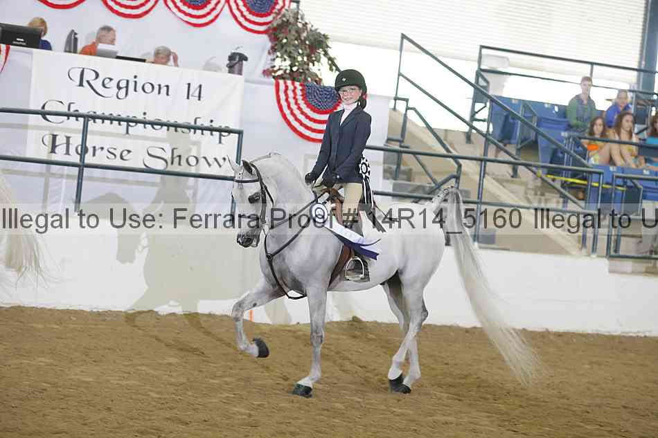 Proof Number 14r14_5160