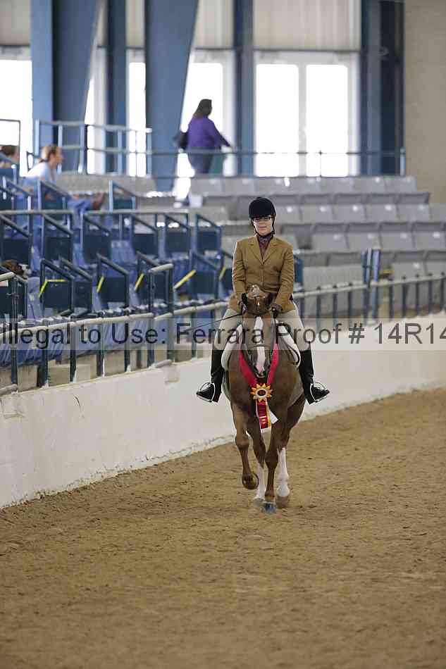 Proof Number 14r14_5167