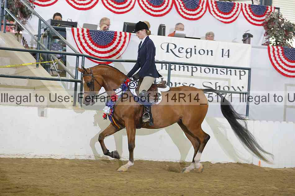 Proof Number 14r14_5171