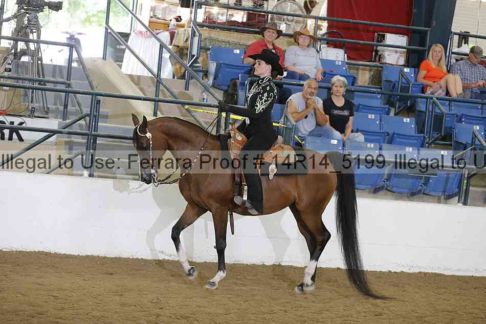 Proof Number 14r14_5199