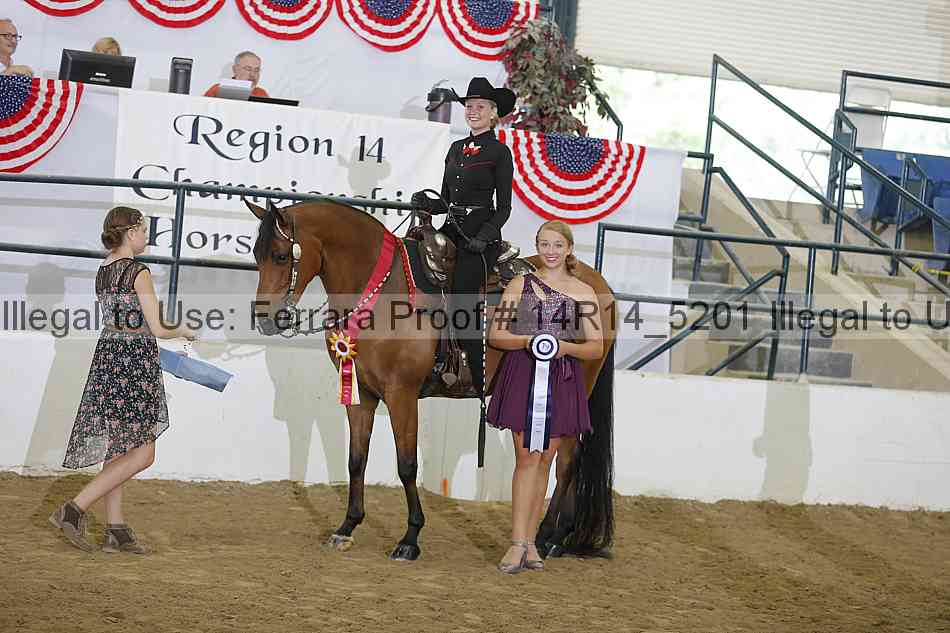 Proof Number 14r14_5201