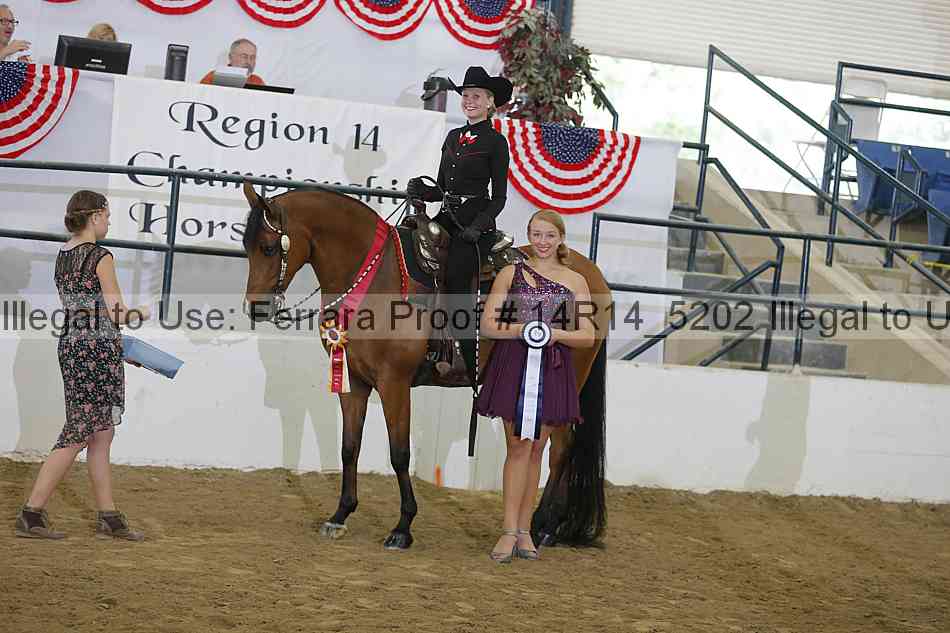 Proof Number 14r14_5202